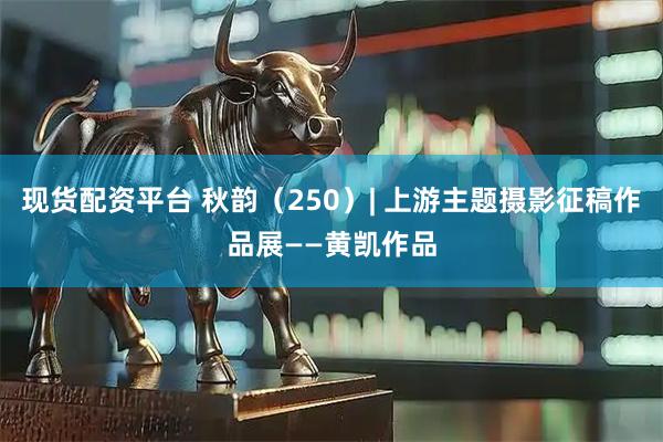 现货配资平台 秋韵（250）| 上游主题摄影征稿作品展——黄凯作品