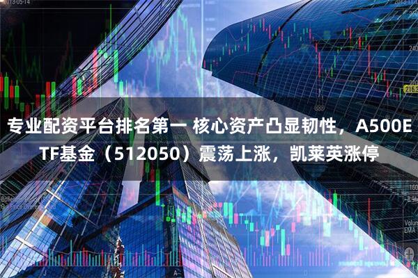 专业配资平台排名第一 核心资产凸显韧性，A500ETF基金（512050）震荡上涨，凯莱英涨停