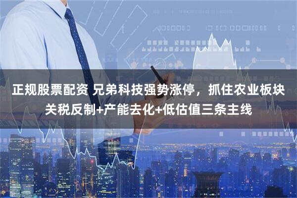 正规股票配资 兄弟科技强势涨停，抓住农业板块关税反制+产能去化+低估值三条主线