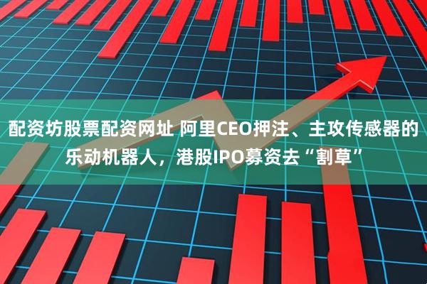 配资坊股票配资网址 阿里CEO押注、主攻传感器的乐动机器人，港股IPO募资去“割草”