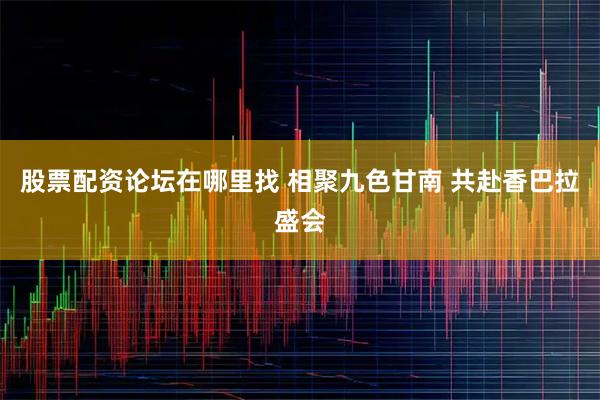 股票配资论坛在哪里找 相聚九色甘南 共赴香巴拉盛会