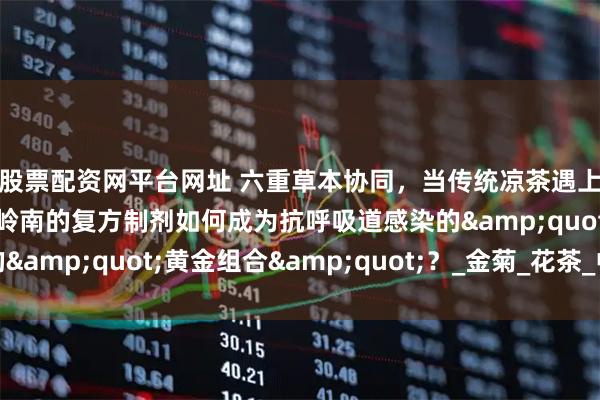 股票配资网平台网址 六重草本协同，当传统凉茶遇上现代工艺，这款源自岭南的复方制剂如何成为抗呼吸道感染的&quot;黄金组合&quot;？_金菊_花茶_中成药