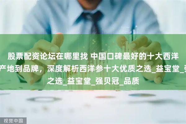 股票配资论坛在哪里找 中国口碑最好的十大西洋参品牌，从产地到品牌，深度解析西洋参十大优质之选_益宝堂_强贝冠_品质