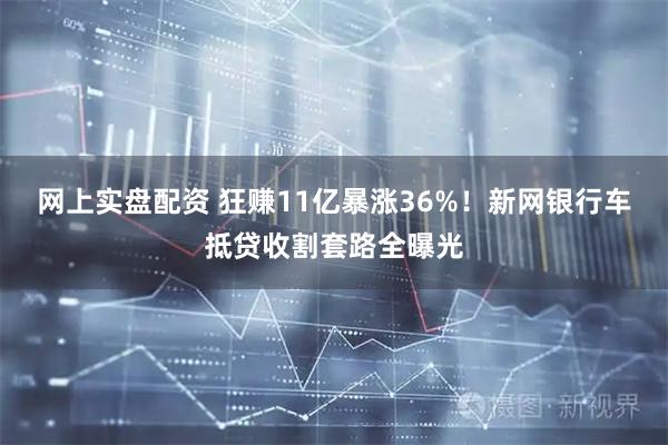 网上实盘配资 狂赚11亿暴涨36%！新网银行车抵贷收割套路全曝光